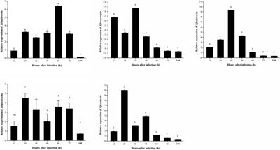 Induced expression modes of genes related to Toll, Imd, and JAK/STAT signaling pathway-mediated immune response in Spodoptera frugiperda infected with Beauveria bassiana